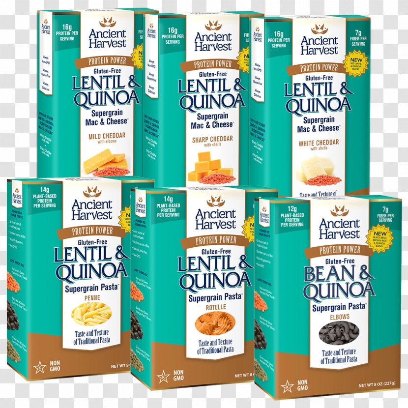 Pasta Quinoa Bean Gluten-free Diet Lentil - Superfood - Lentils Transparent PNG