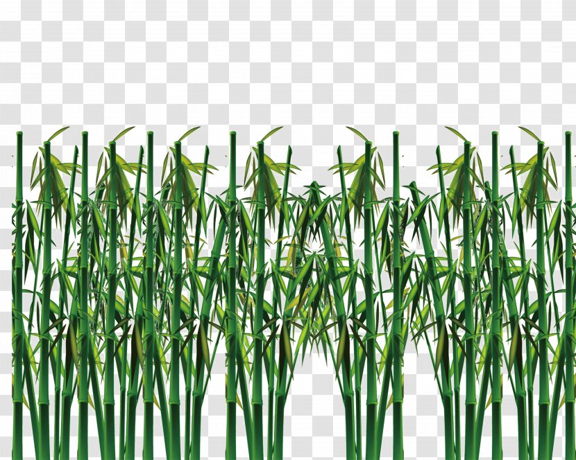 Bamboo Green Raster Graphics Transparent PNG