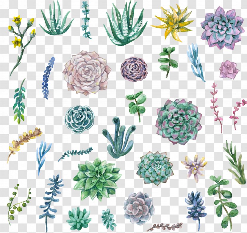 Watercolor Painting Succulent Plant Clip Art - Perennial - Bleu Succulents Transparent PNG