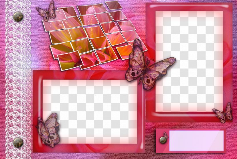 Picture Frame Photography - Picmix - Pink Butterfly Border Transparent PNG