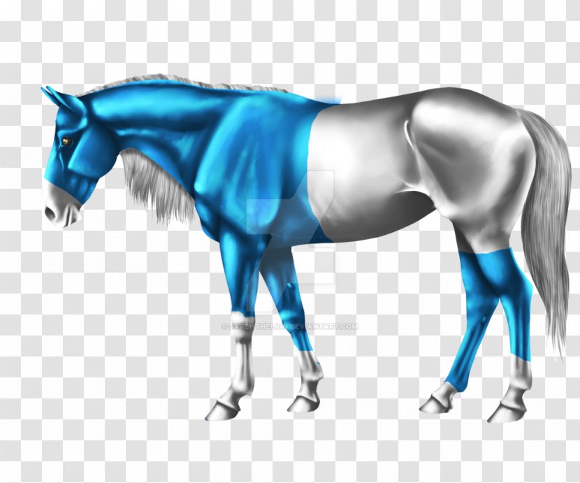 Mane Mustang Stallion Mare Halter - Muscle Transparent PNG