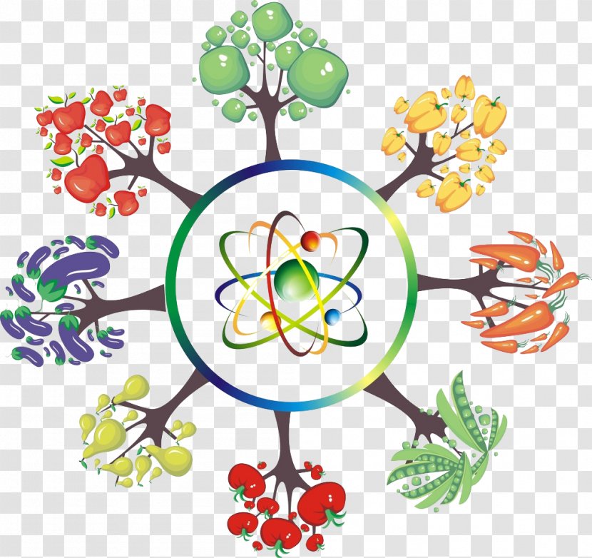 Floral Design Graphic Tree - Tomato - Trees And Other Big Transparent PNG