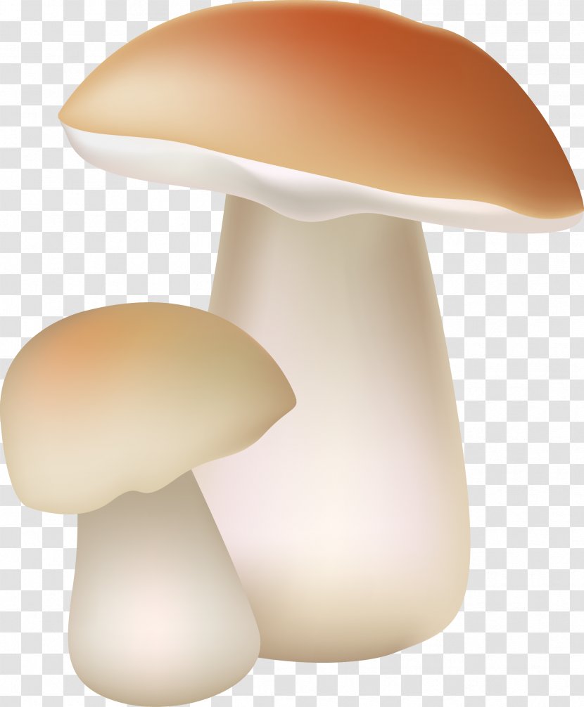 Edible Mushroom Fungus - Light Fixture Transparent PNG