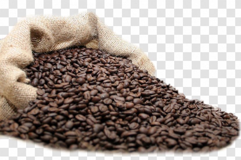 Coffee Tea Fizzy Drinks Latte Cafe - Beans Transparent PNG