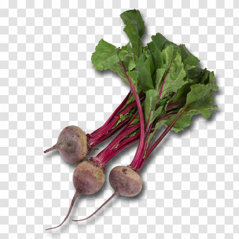 Vegetable Beetroot Chard Food Common Beet - Chocolat Transparent PNG