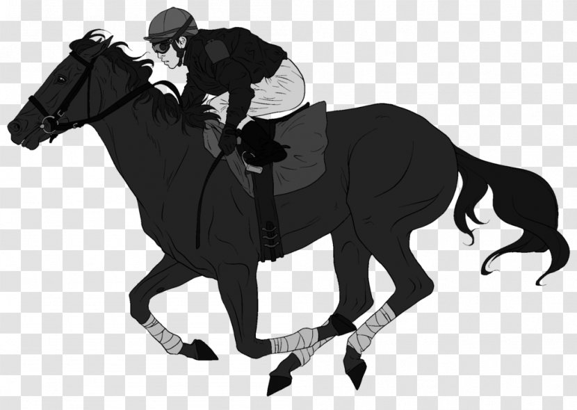 Horse Jockey Equestrian Stallion Pony - Frame - Race Transparent PNG