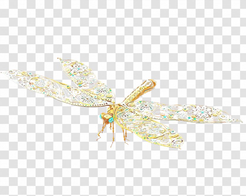 Dragonfly Insect - Pest Membranewinged Transparent PNG