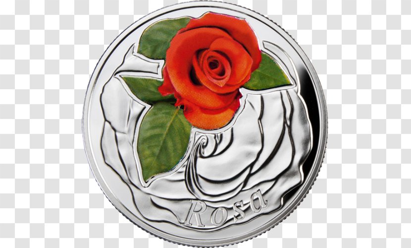 Garden Roses Silver Coin Flower - Organization Transparent PNG
