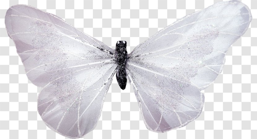 Butterfly White Transparent PNG