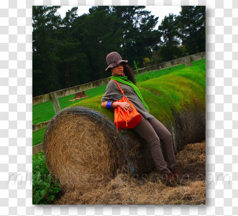 Lawn Soil Farm Tree - Flower - Hay Bales Transparent PNG