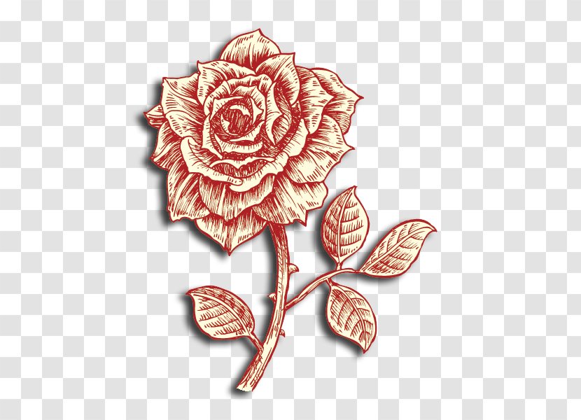 Garden Roses Drawing - Rose Transparent PNG