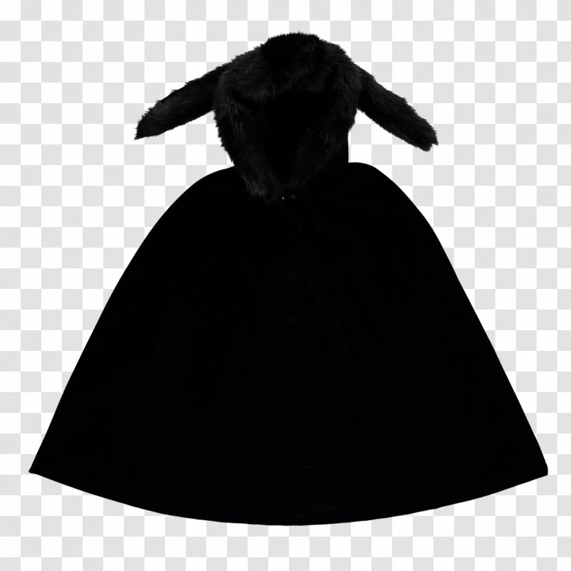 Cape Fashion Blechnum Discolor Scarf Outerwear - Black Transparent PNG
