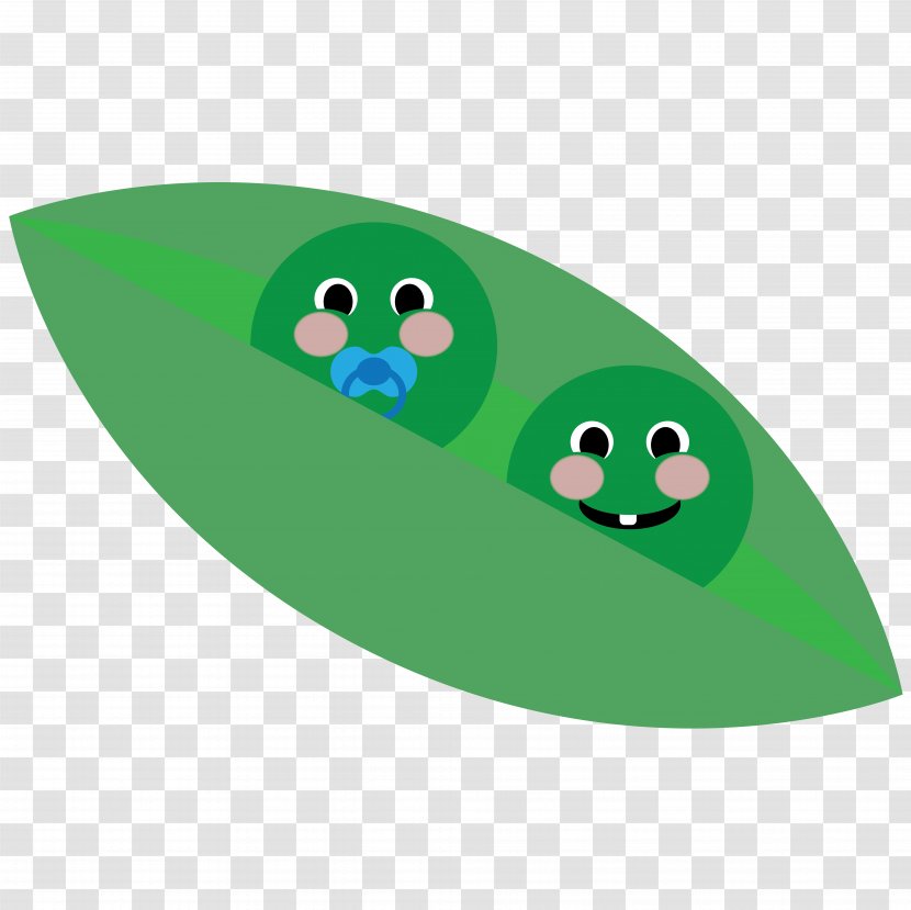 Green Pea Vector Graphics Vegetable Pod Food Transparent PNG