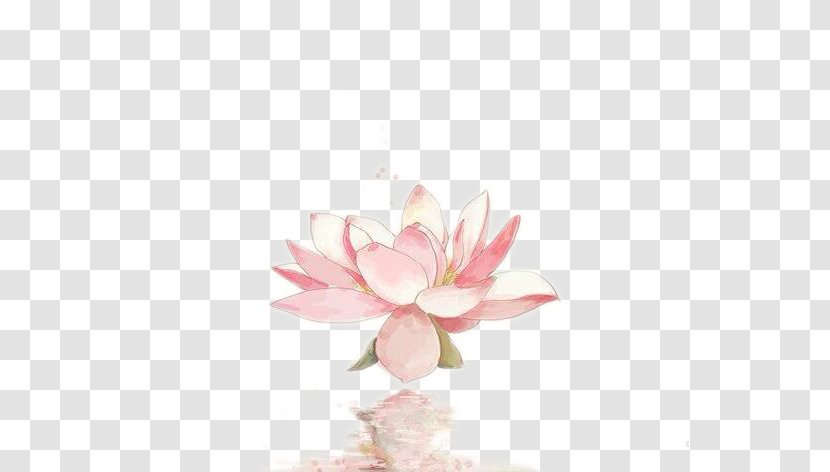 Nelumbo Nucifera Watercolor Painting - Pink - Reflecting Lotus Transparent PNG