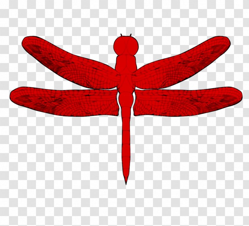 Clip Art Dragonfly Image Drawing - Red - Insect Transparent PNG