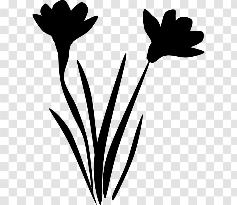 Twig Clip Art Leaf Plant Stem Silhouette - Black M Transparent PNG