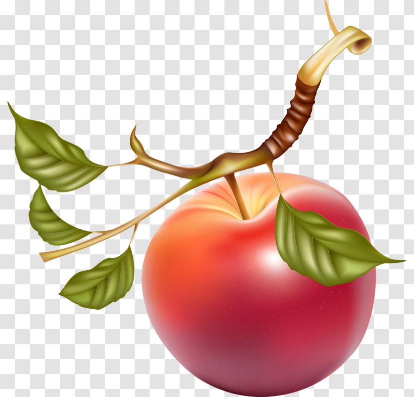 Juice Apple Fruit Clip Art - A Red Transparent PNG