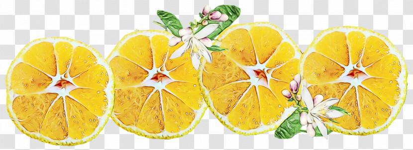 Vegetarian Cuisine Vegetable Yellow Fruit Flower Transparent PNG