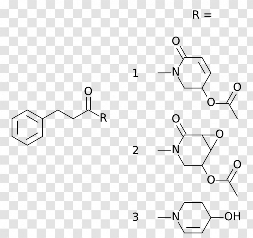 Kava Pyridine Alkaloids Pipermethystine Plant - Area Transparent PNG