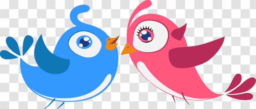 Lovebird Owl - Beak - Bird Lovers Transparent PNG