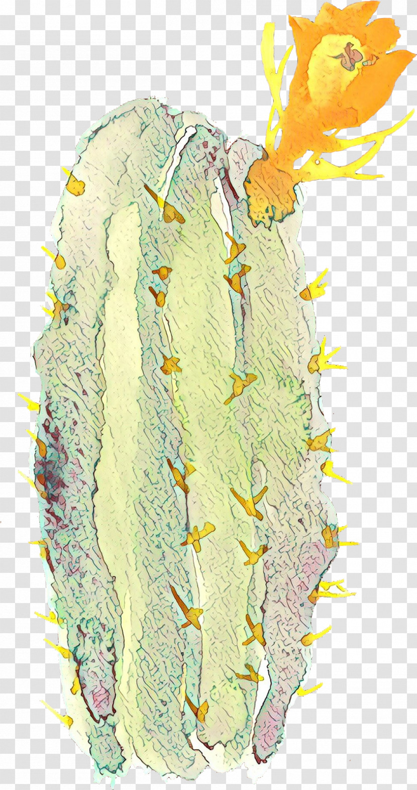 Cactus Transparent PNG