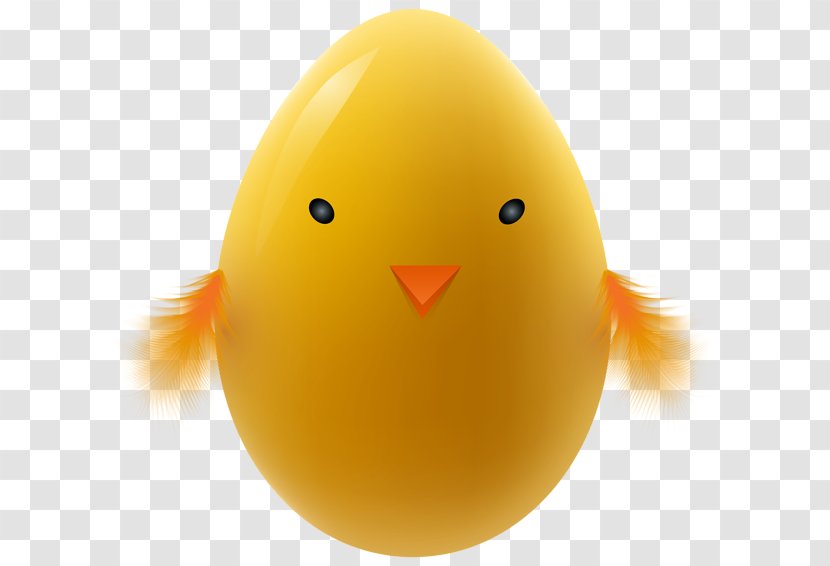 Chicken Egg Easter Kifaranga Transparent PNG