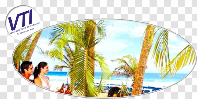 Hotel Hesperia Playa El Agua Yaque Beach - Tourism - International Transparent PNG