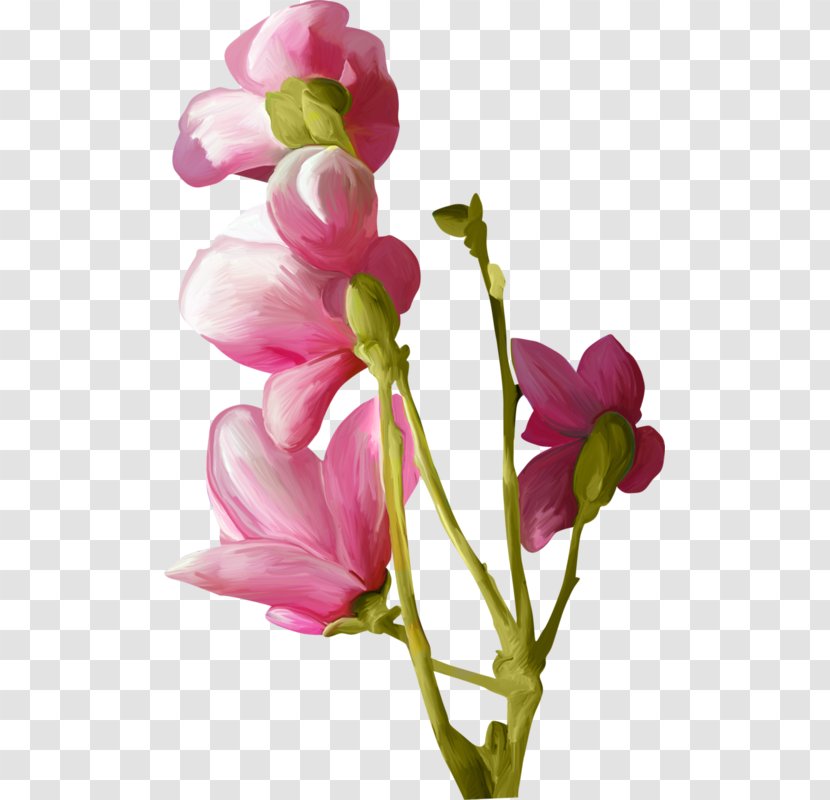 Watercolor Painting Flower - Plant Transparent PNG