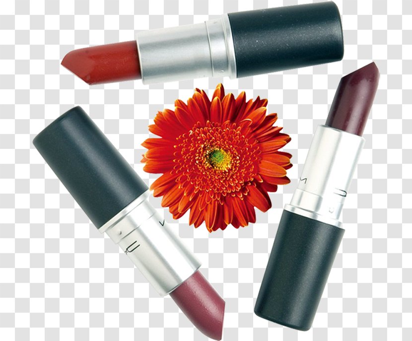 Lipstick Cosmetics Clip Art - Mascara Transparent PNG