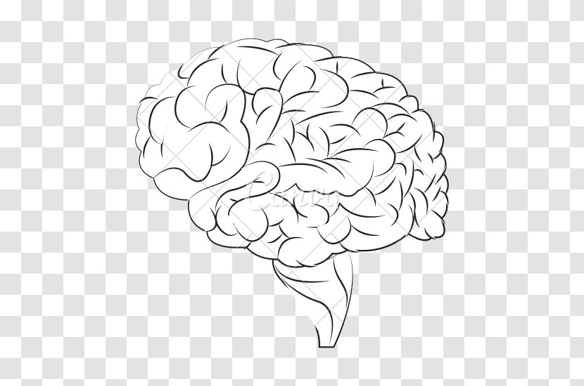 Human Brain Drawing - Silhouette Transparent PNG