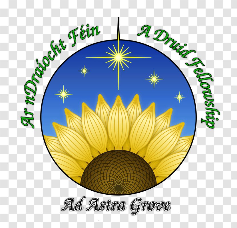 Druid Ár NDraíocht Féin Divination Faith Belief - Grove Transparent PNG