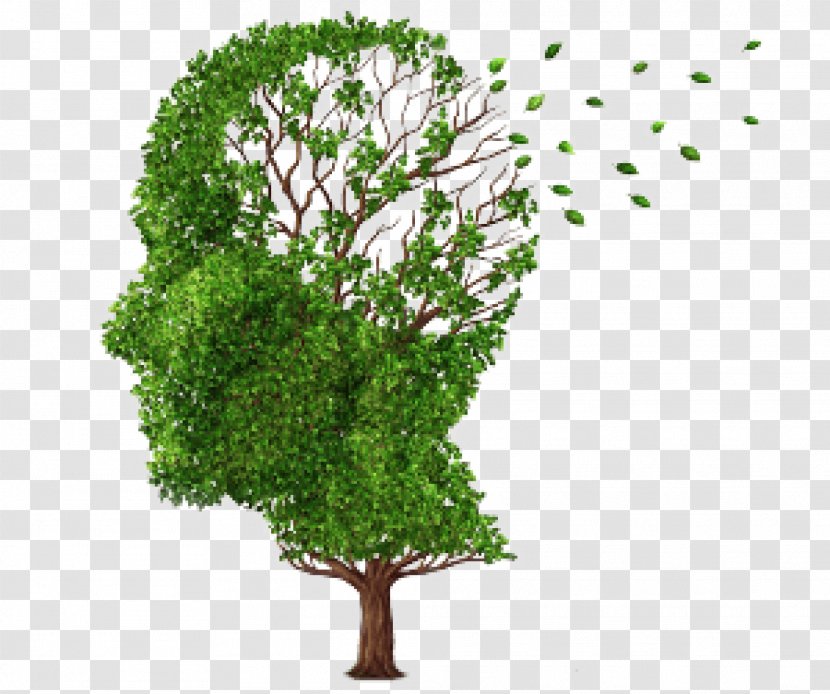 Alzheimer's Disease Brain Association Health - Amyloid Beta - 300 Transparent PNG