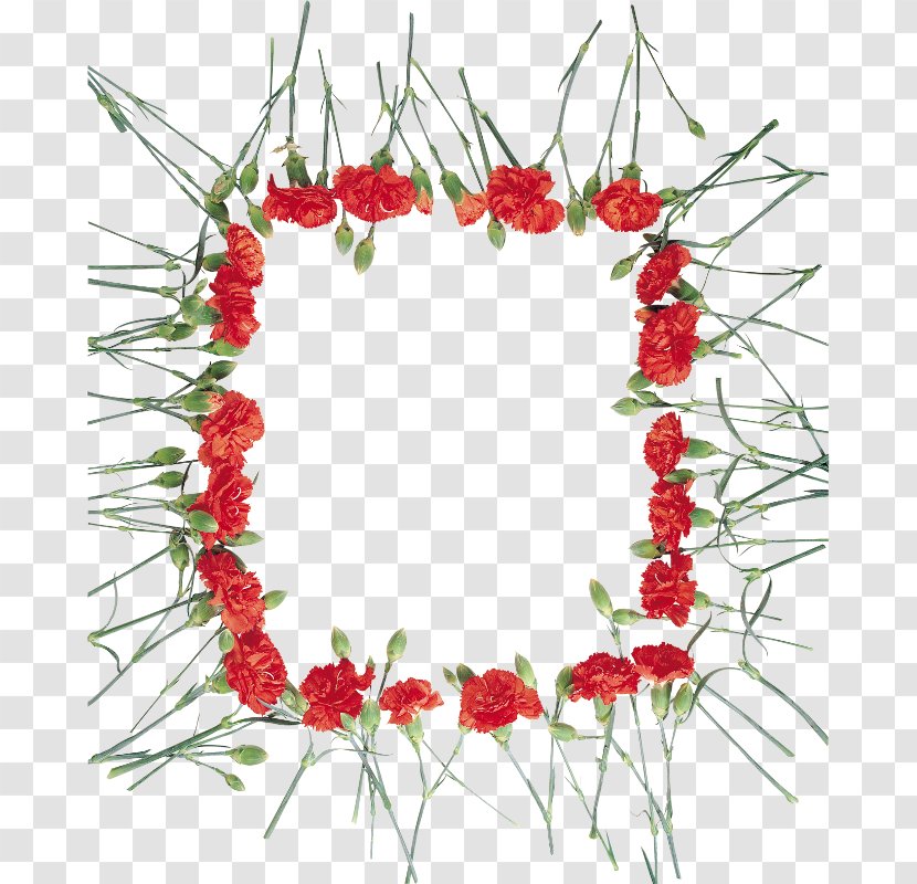 Floral Design Carnation Cut Flowers Wreath - Petal - Flower Transparent PNG