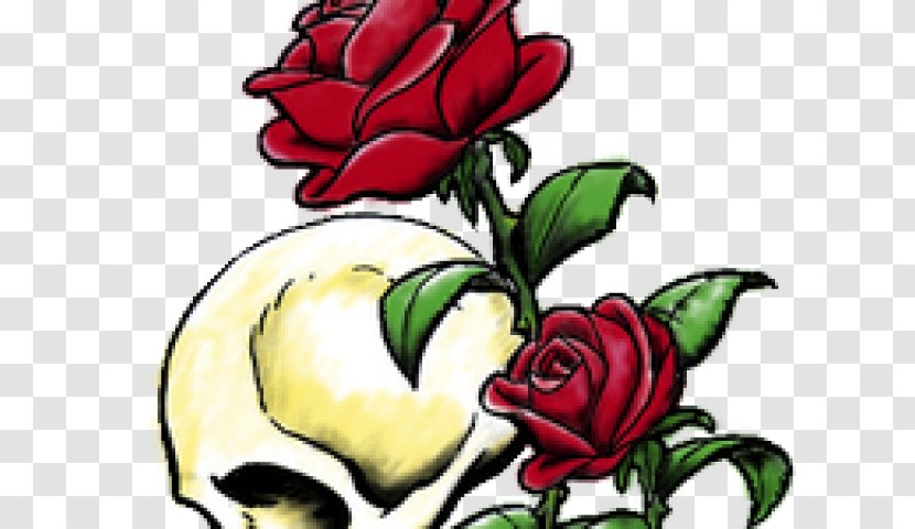 Floral Design Rose Tattoo Drawing - Plant - Roses Transparent PNG