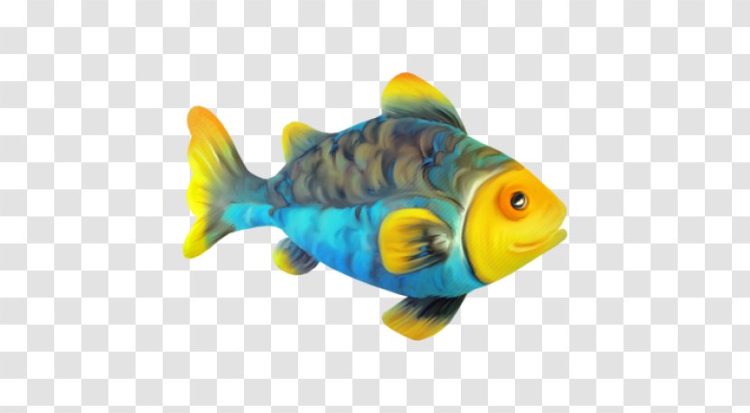 Bony Fishes Animaatio Marine Biology - Fish Transparent PNG
