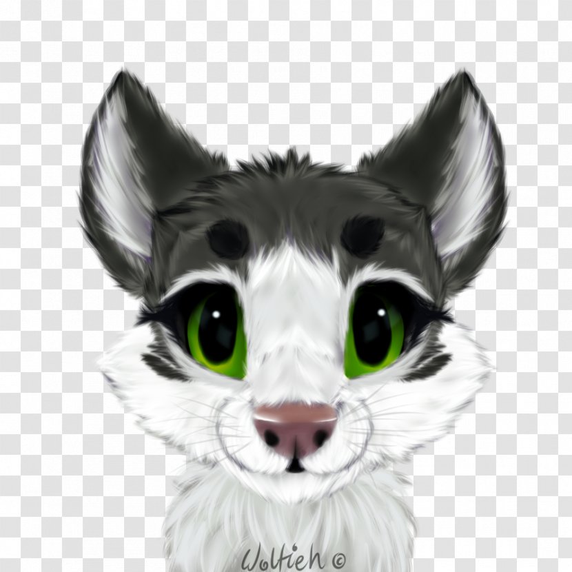 Whiskers Kitten Domestic Short-haired Cat Tabby - Fur - Tribute Transparent PNG