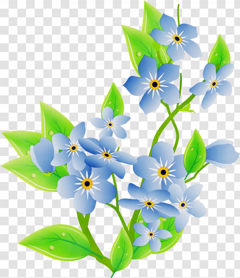 Flower Plant Petal Forget-me-not Ixia - Watercolor - Borage Family Wildflower Transparent PNG