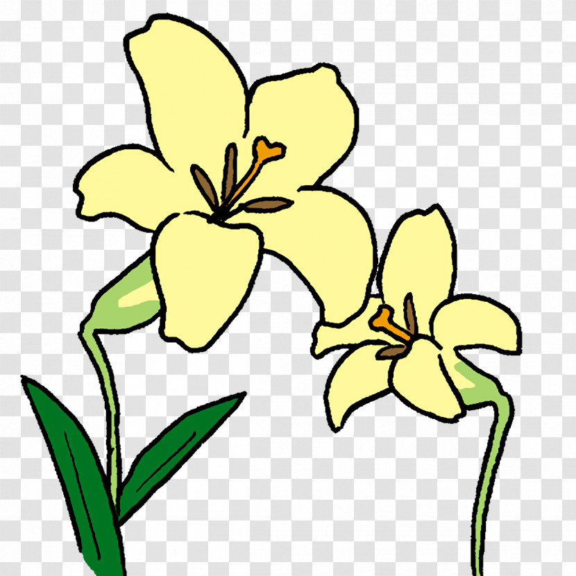 Floral Design Transparent PNG