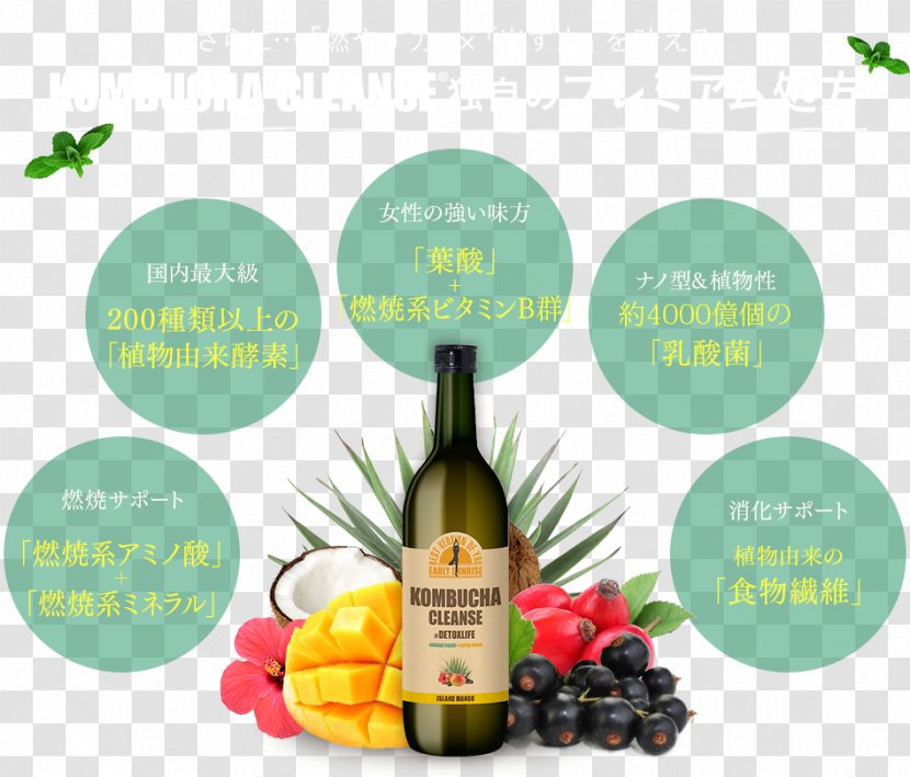 Kombucha Liqueur Smoothie Drink Dieting - Wine - Prescribe Transparent PNG
