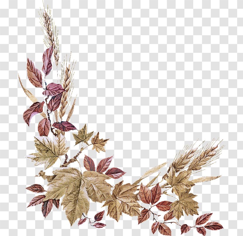 Leaf Plant Flower Twig Transparent PNG