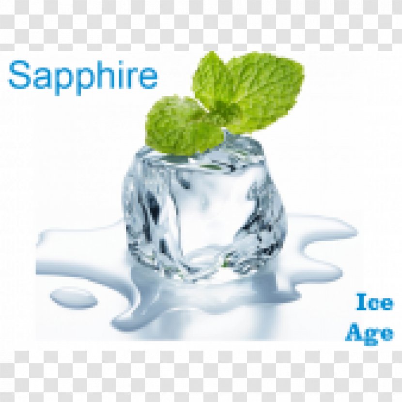 Peppermint Flavor Menthol Organic Food - Mint Gin Tonic Transparent PNG