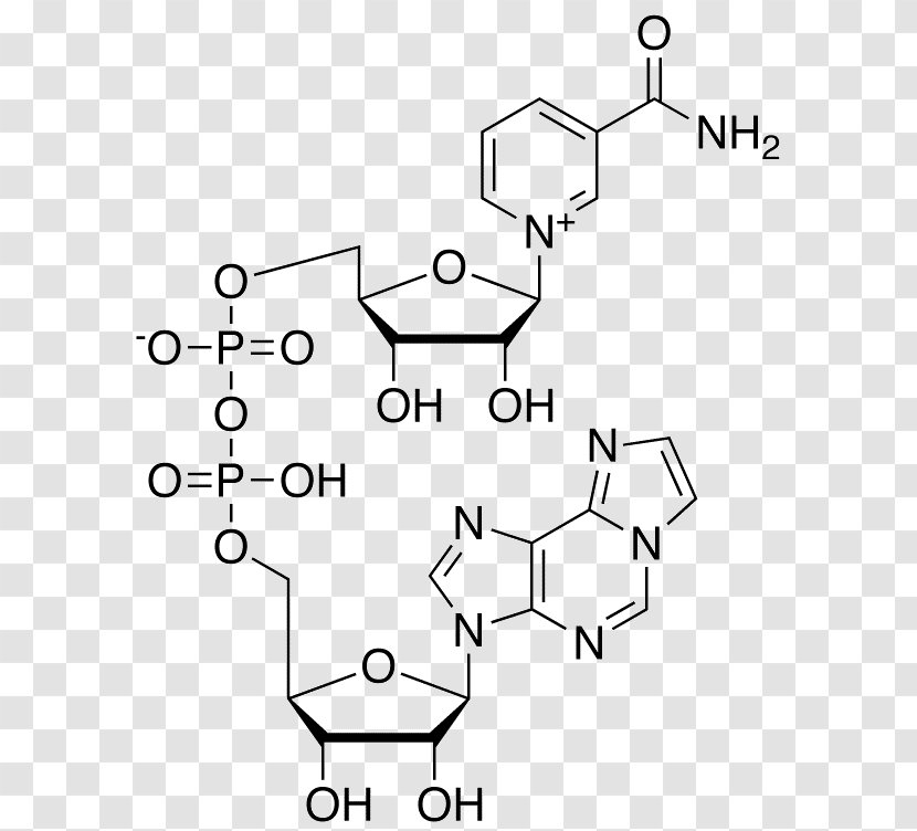 Cyclic Adenosine Monophosphate Triphosphate Nucleotide - Chemical Compound - Nicotinamide Riboside Transparent PNG