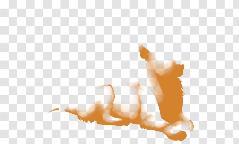 Kitten Whiskers Lion Cheetah Hyena - Small To Medium Sized Cats Transparent PNG