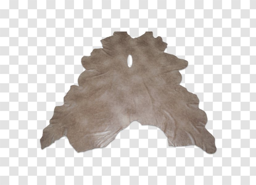 Tree Fur Transparent PNG