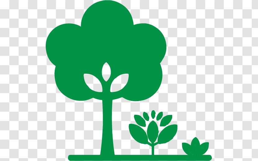 Green Leaf Symbol Plant Tree - Stem Transparent PNG