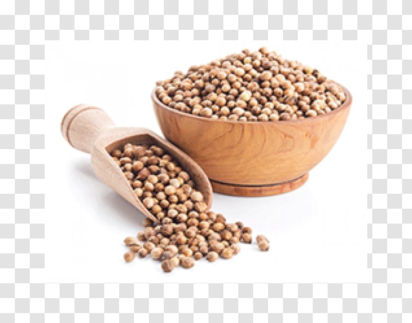 Coriander Spice Seed Herb Za'atar - Grain - Stock Photography Transparent PNG