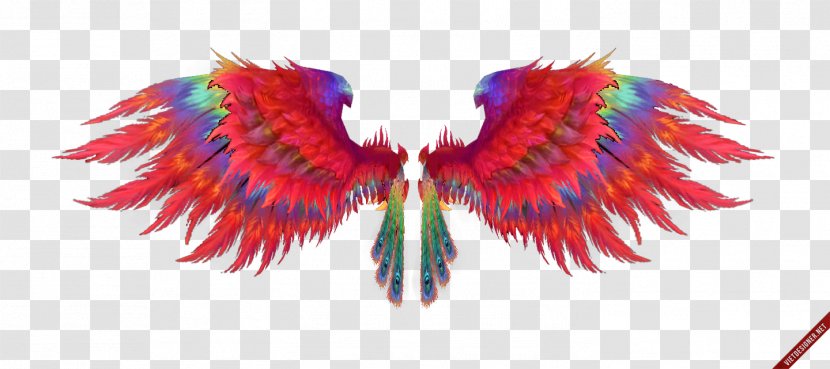 Feather Wing Beak - Watercolor Bird Transparent PNG