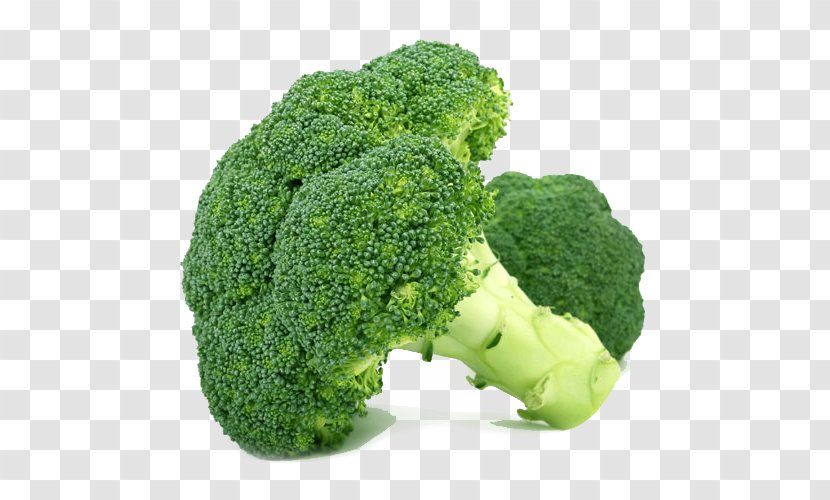 Cream Of Broccoli Soup Vegetable Organic Food - Leaf Transparent PNG