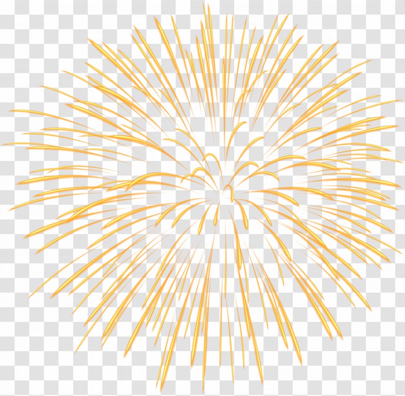 Fireworks Clip Art - Museum - Firework Transparent PNG