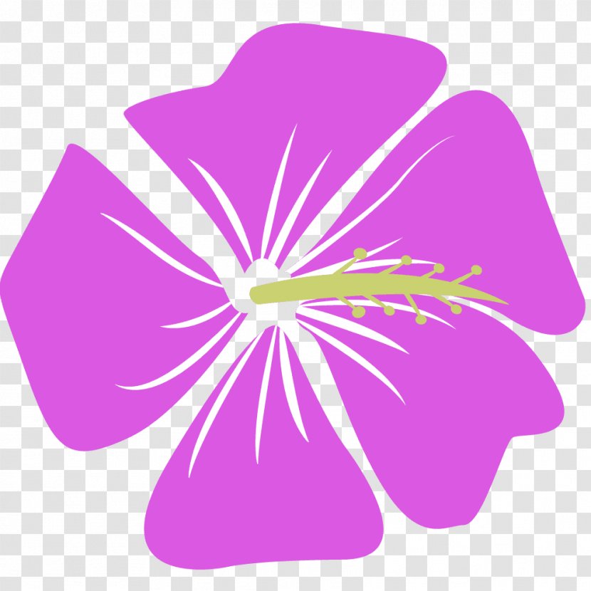 Violet Mallows Pink Illustration Color - Petal - Flower Transparent PNG